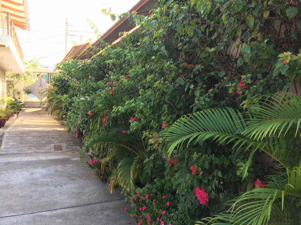 La Casa Del Italiano Bed and Breakfast Tarapoto Buitenkant foto